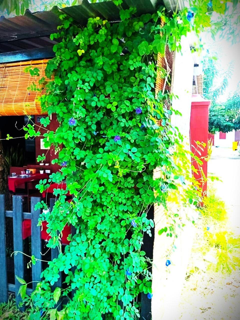 Dd Guest House Pakse Eksteriør bilde